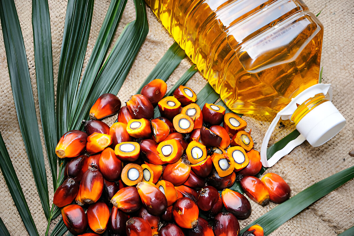 CRUDE PALM OIL (CPO)