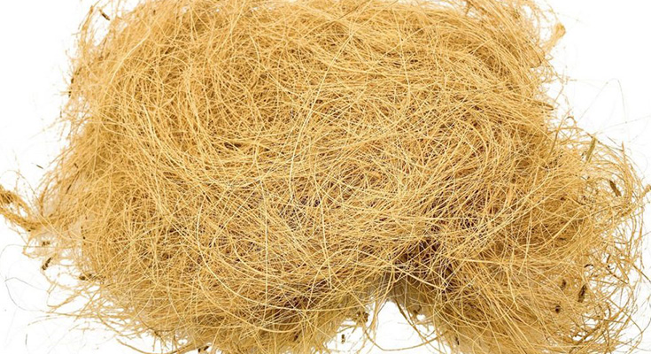 PALM FIBRE